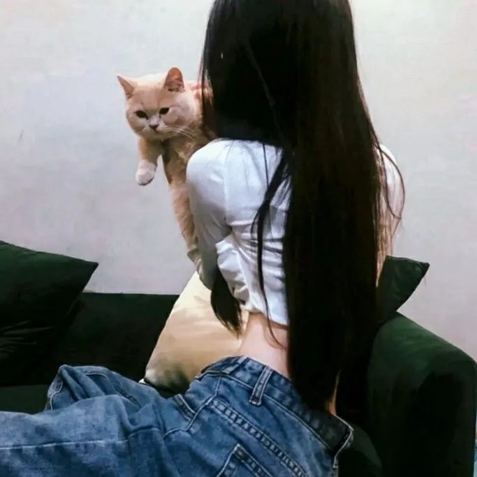 我们的黄金年代